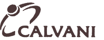 Шкатулка ювелирная CALVANI Шкатулка ювелирная CALVANI