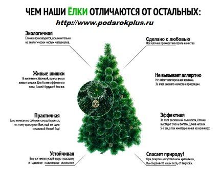 Живая или искусственная елка – что выбрать?