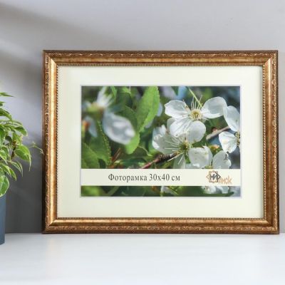 Фоторамка 307-5158-1 (30х40 см)