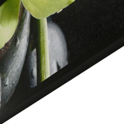 Модульная картина "Зеленые орхидеи"  60х107 см(32х55; 21х55; 2шт-27х37)