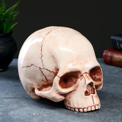 Копилка "Череп", 19х13х15см