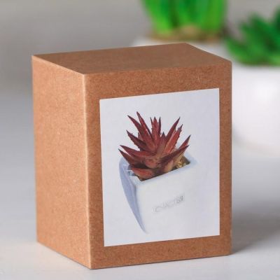 Суккулент в керамическом горшочке «Счастья», 7.5 × 5.5 × 6 см