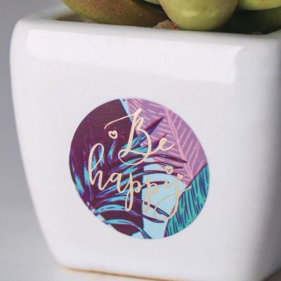 Суккулент в керамическом горшочке Be happy, 7.5 × 5.5 × 6 см