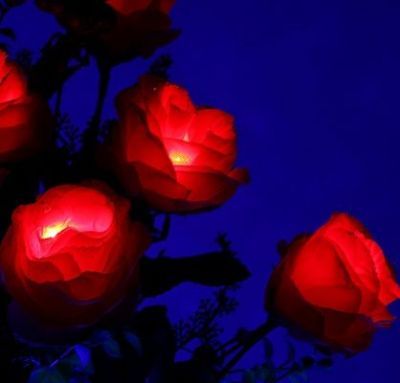 Светодиодная ваза "Розы" (64 × 16 см. синий)