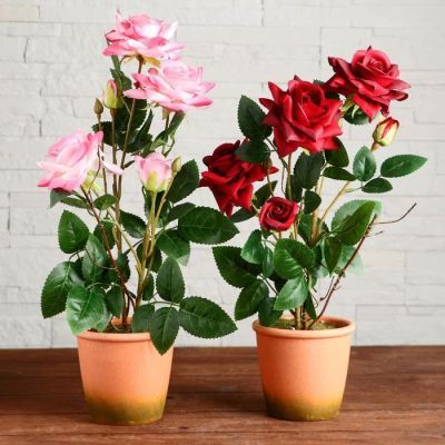 Композиция в горшочке "Розы" 12х40 см, микс