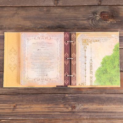 Родословная книга с рамкой под семейное фото в подарочной коробке (22 х 40 см)