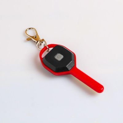 Фонарь-брелок "Мастер К.", 2хCR2032, 2 режима, 8.5 х 3 см, микс