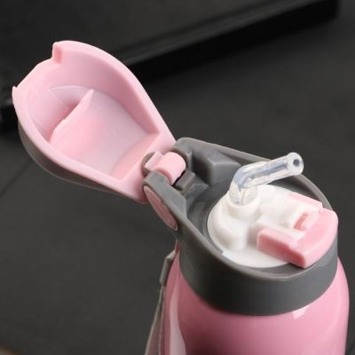 Термос с поильником "Snowboarding", 500 мл, сохраняет тепло 12 ч