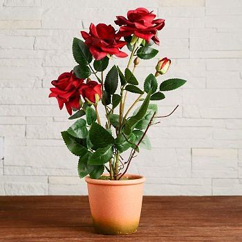 Композиция в горшочке "Розы" 12х40 см, микс