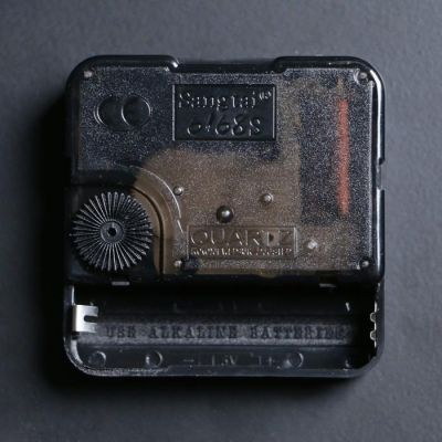 Часы настенные двойные, серия: Садовые, "Птичка на ветке", дискретный ход, d=41 см, 23 х 23 см 28398