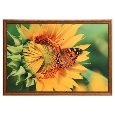 Картина велюр "Бабочка" 100х70 (107х77)см