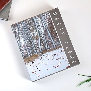 Фотоальбом на 80 фото 10х15 см "Природа" в коробке МИКС 23х19х5,2 см