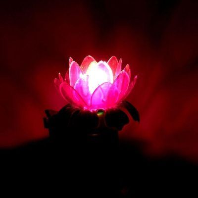 Ночник "Распустившийся цветок" 220V Е12 МИКС 9х9,5 см