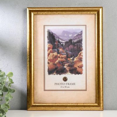 Фоторамка пластик "Гамма" 21х30 см шампань