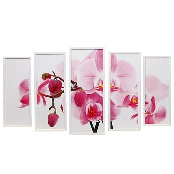 Модульная картина "Орхидеи" 23х59-1шт, 20х53-2шт, 18х47-2шт, 60х100 см