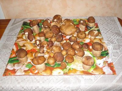 Электросушилка «Самобранка» - суперподарок дачникам (50х50см)