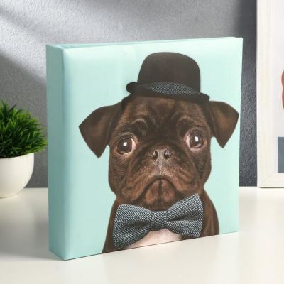 Фотоальбом на 200 фото 10х15 см "Мопс в шляпе и бабочке"