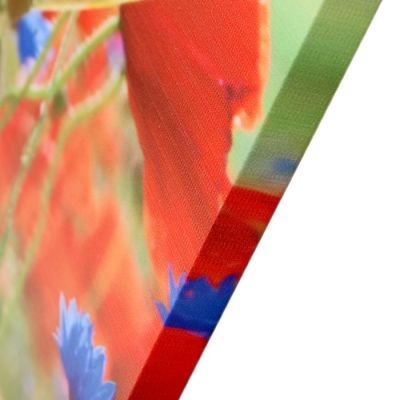 Модульная картина "Полевые цветы" (3-35х35) 35х105 см