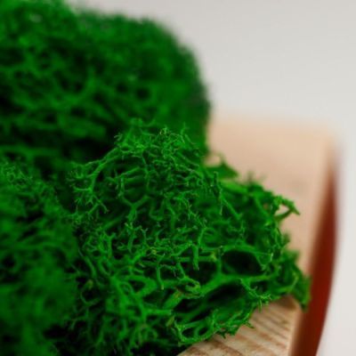 Кашпо со стабилизированным мхом "Любимой маме"