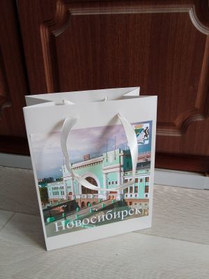 Пакет картонный ламинированный "Достопримечательности Новосибирска" (молочный), 18 х 23 см