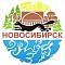 Сувениры с темой Новосибирска