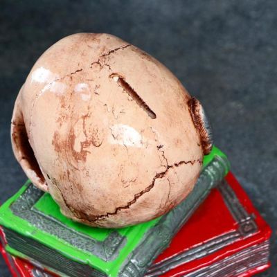 Копилка "Череп на книгах", 17см