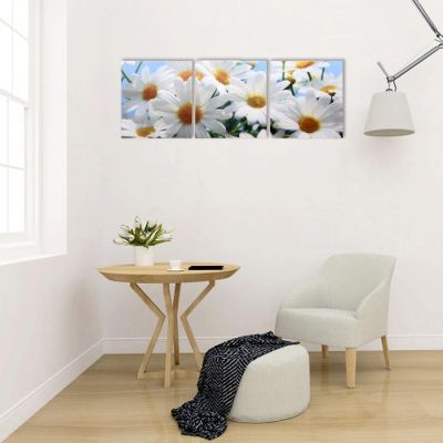 Модульная картина "Белые ромашки" (3-35х35) 35х105 см