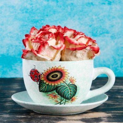 Кашпо-чашка "Чайная пара" белое