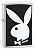 Зажигалка Zippo 28 269