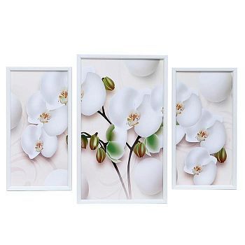 Картина модульная "Белая орхидея" 29*49 - 1шт., 20*40 - 2шт., 50х70 см