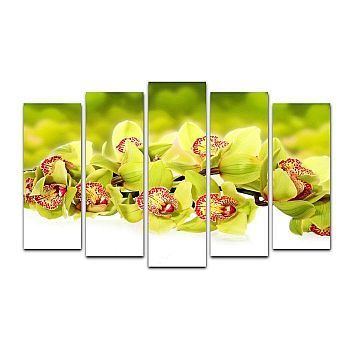 Картина модульная на подрамнике "Зелёная орхидея" 125*80 см