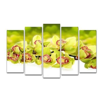 Картина модульная на подрамнике "Зелёная орхидея" 125*80 см