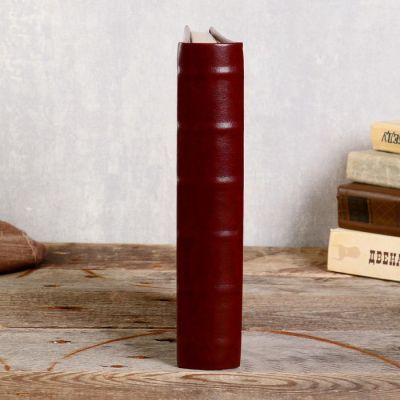 Фотоальбом  15x21 см., 100 фото, "Классика"