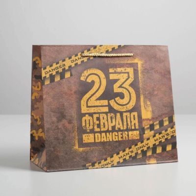 Пакет крафтовый горизонтальный Danger, ML 27 × 23 × 11,5 см