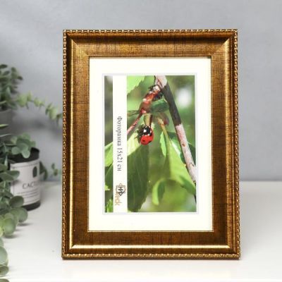 Фоторамка пластик 1730-3035-12 15х21 см