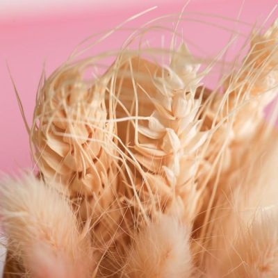 Букет из сухоцветов «Кому‒то особенному», 11,7 × 21 × 5 см