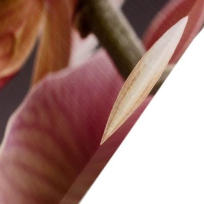 Картина модульная на подрамнике "Крупная орхидея" 99*65 см