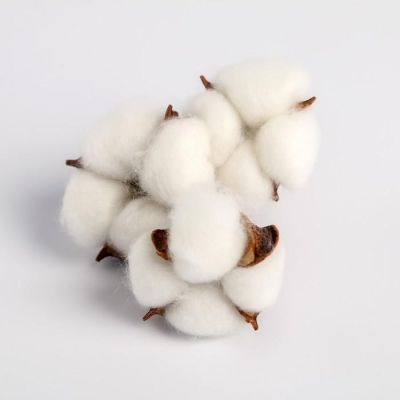 Подарочный набор с экодекором «Прекрасных мгновений», 14 × 22 × 5 см