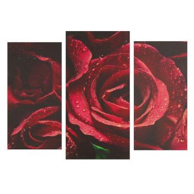 Картина модульная на подрамнике  "Розы" 2шт-25,5*50,5см, 30,5*60см, 60х100 см