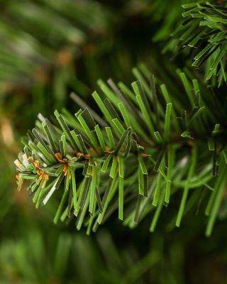 Ель искусственная зеленая с шишками №13 (ПВХ, высота 210 см)