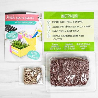 Органайзер канцелярский - растущий сувенир «Не бойся мечтать» 10.5х10 см