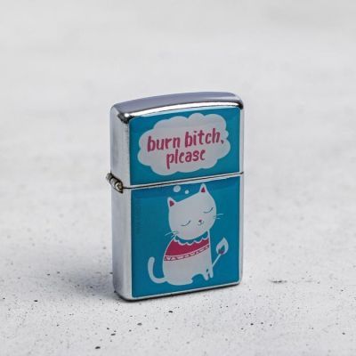 Зажигалка "Burn bitch", 5,5 х 3,5 х 1 см