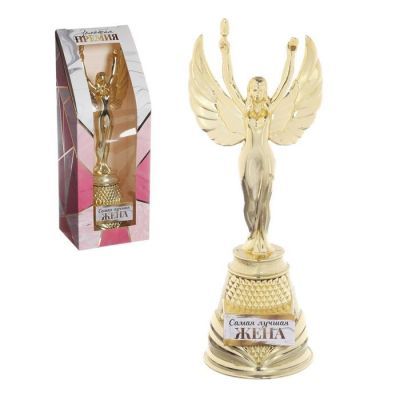 Ника литая в коробке «Самая лучшая жена», 17,5 х 8 х 7,5 см