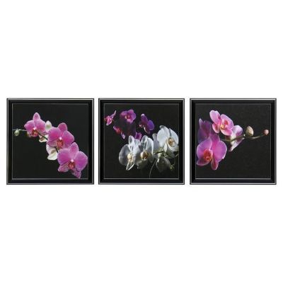 Картина модульная  "Ветки орхидеи" 25х75(28х84) см  3шт-25х25(28х28)см