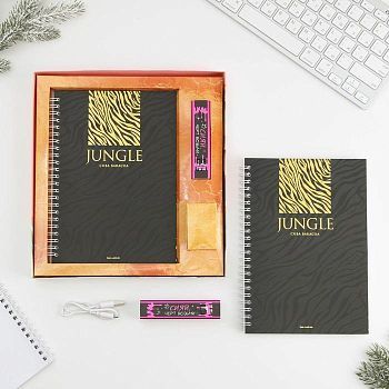 Набор ежедневник и павер банк, мод.РВ-04, "Сияй", 22,7 х 24,5 см