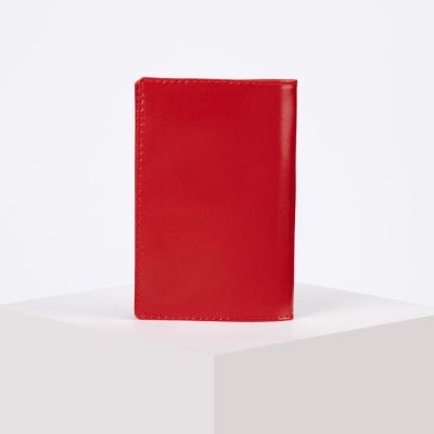 Обложка для паспорта, цвет алый