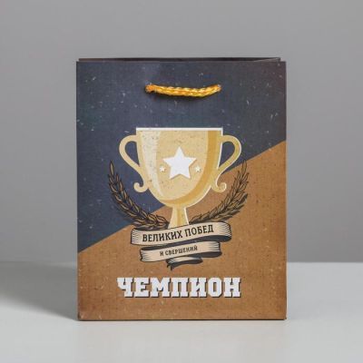 Пакет ламинированный вертикальный «Чемпиону», S 12 × 15 × 5.5 см