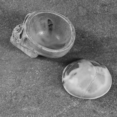 Шкатулка "Череп" 8,4см