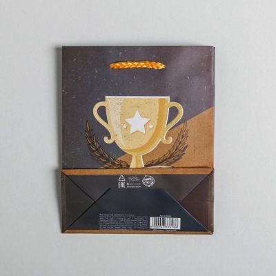 Пакет ламинированный вертикальный «Чемпиону», S 12 × 15 × 5.5 см