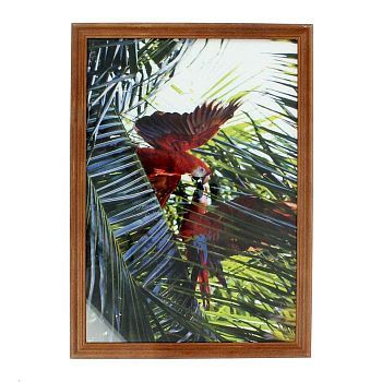 Фоторамка формат А4 "Орех"